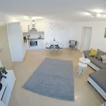 Apartmán Wujan *